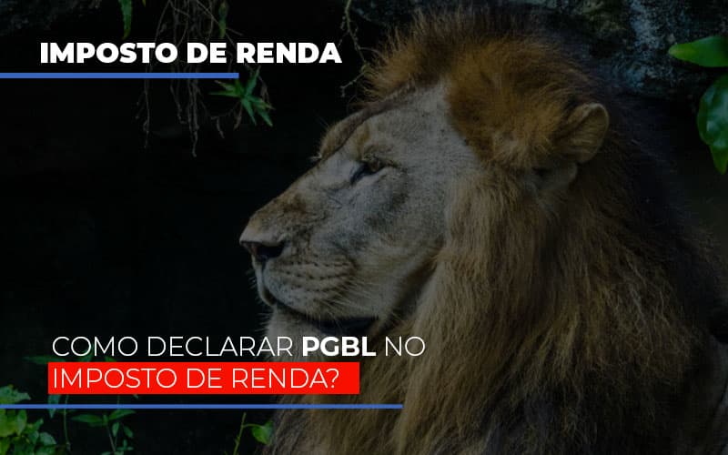 Ir2020:como Declarar Pgbl No Imposto De Renda Contabilidade Em Campinas Sp | Blog System Consultoria Contábil - Escritorio de Contabilidade em Campinas | System Consultoria Contábil
