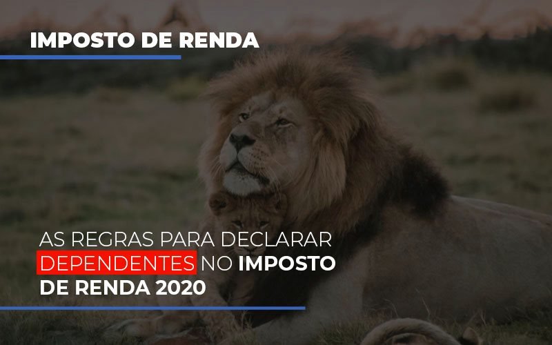 As Regras Para Declarar Dependentes No Imposto De Renda 2020 Contabilidade Em Campinas Sp | Blog System Consultoria Contábil - Escritorio de Contabilidade em Campinas | System Consultoria Contábil